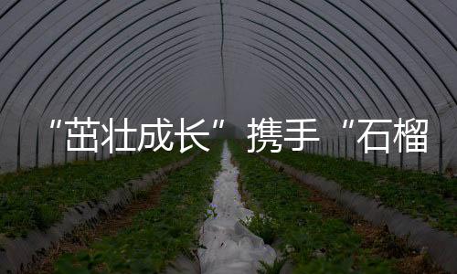 “茁壮成长”携手“石榴籽”一起做公益 上好体育课,讲好普通话