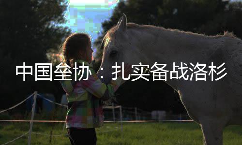 中国垒协:扎实备战洛杉矶奥运会 完善“一体两翼”发展格局