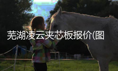 新乡尼龙衬板生产厂家