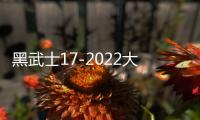 黑武士17-2022大众途观L丹当拿音响进口音响汽车音响原装喇叭高配