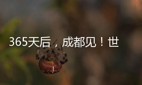 365天后,成都见!世运会倒计时一周年 向全世界发出诚挚邀约